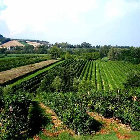 Agriturismo Rio Manzolo Çiftlik konaklama *