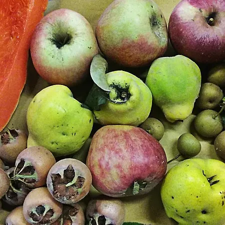 Agriturismo Rio Manzolo * 브리시그헬라