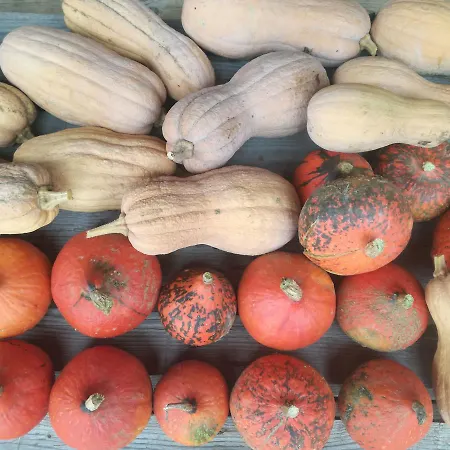 팜스테이 Agriturismo Rio Manzolo