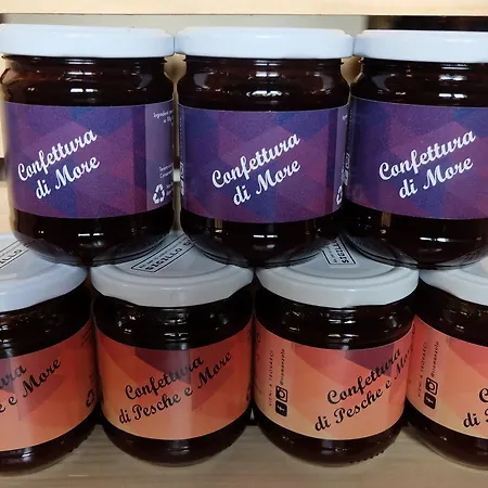 Agriturismo Rio Manzolo 팜스테이 브리시그헬라