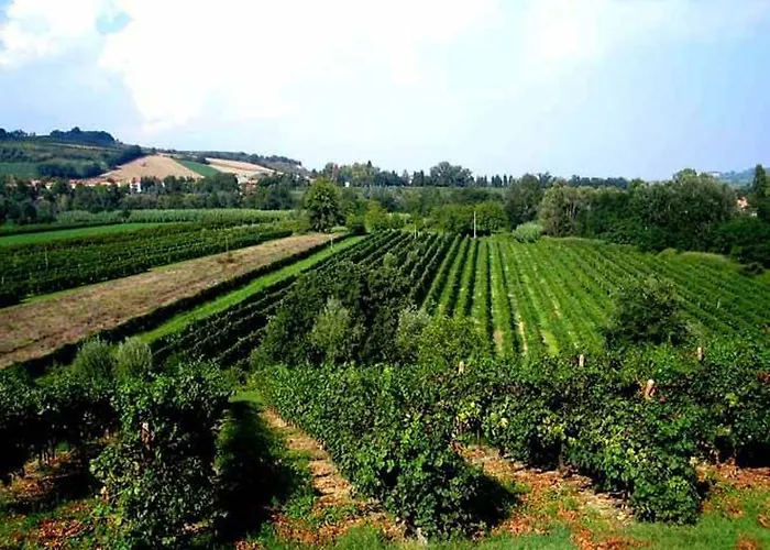 Agriturismo Rio Manzolo Bauernhof *