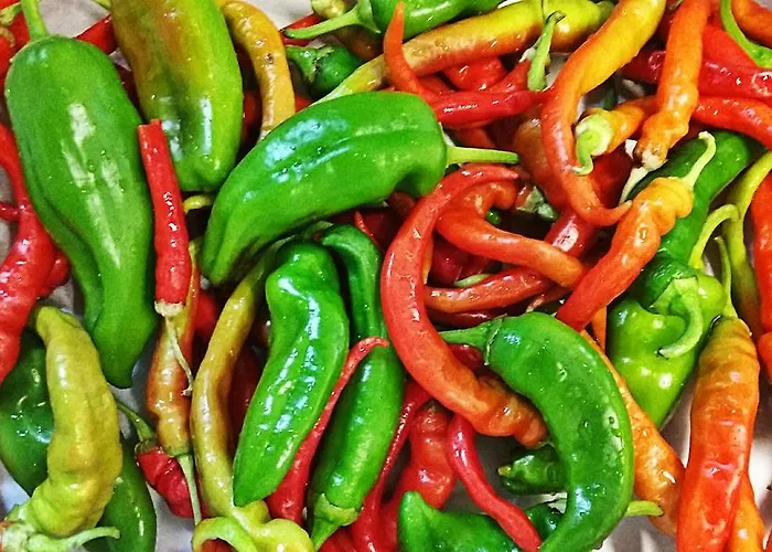 Agriturismo Rio Manzolo Séjour à la ferme *