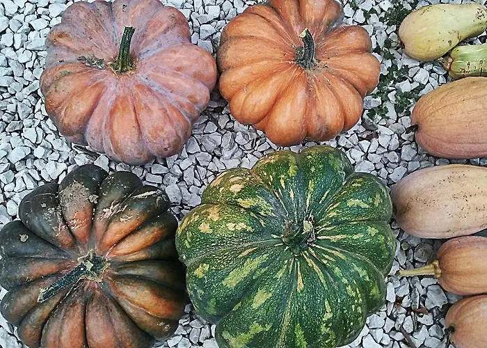 Agriturismo Rio Manzolo Bauernhof