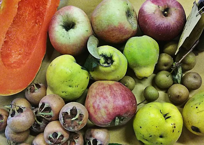 Agriturismo Rio Manzolo * Brisighella