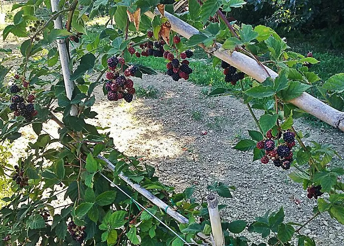 Bauernhof Agriturismo Rio Manzolo Brisighella