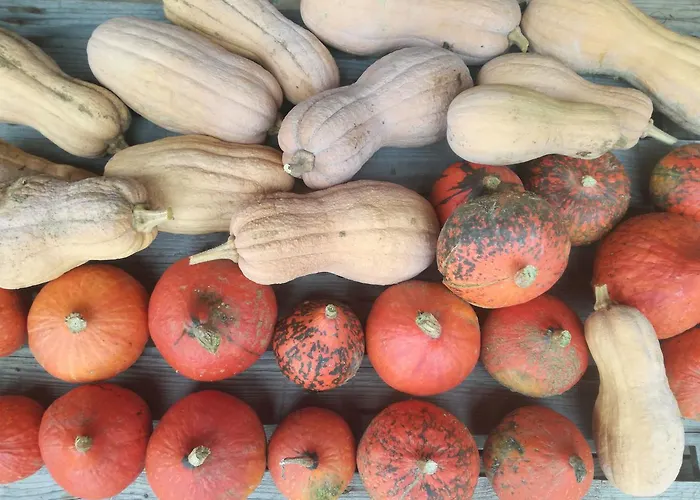 Bauernhof Agriturismo Rio Manzolo