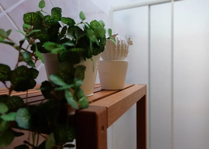 Agriturismo Rio Manzolo *