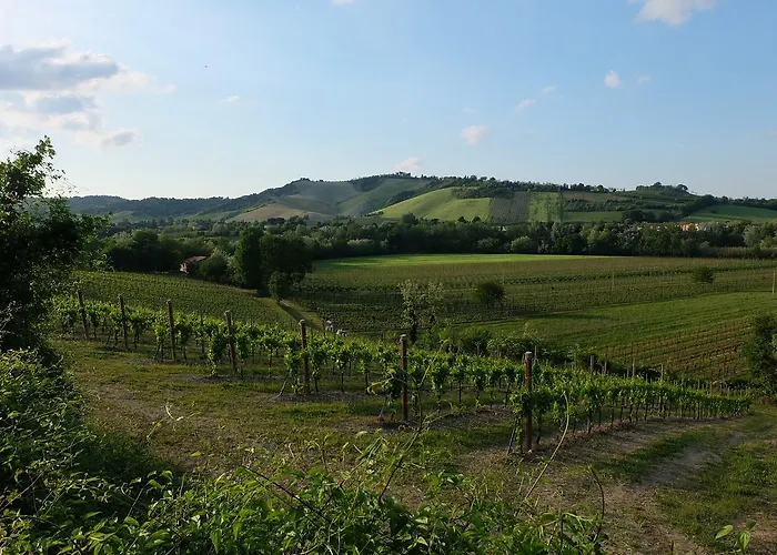 Agriturismo Rio Manzolo