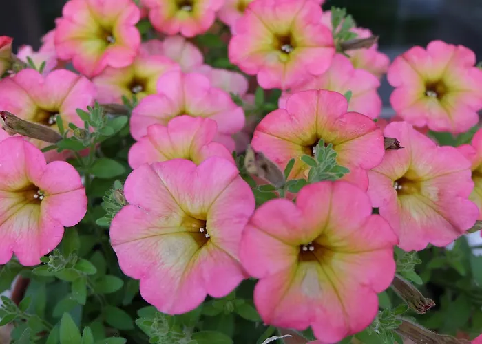 Agriturismo Rio Manzolo Séjour à la ferme